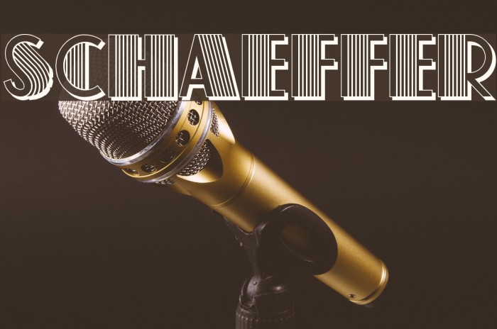 Schaeffer Font examples