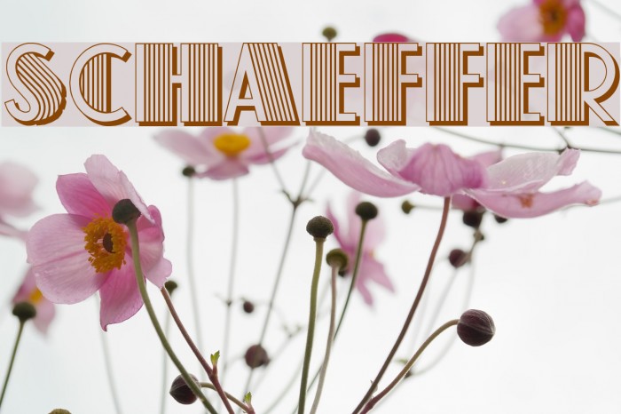 Schaeffer Font examples