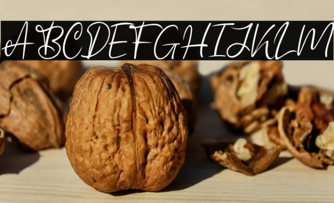 Schagen Example 2