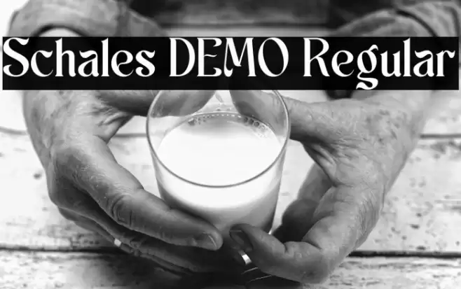 Schales DEMO Regular 字体 examples