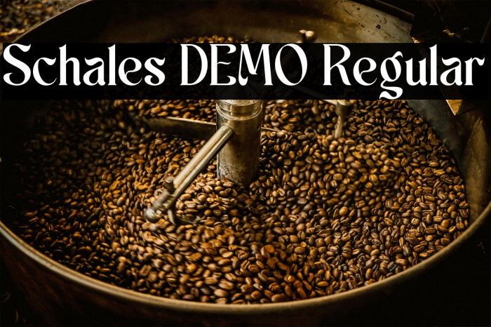 Schales DEMO Regular Example 2