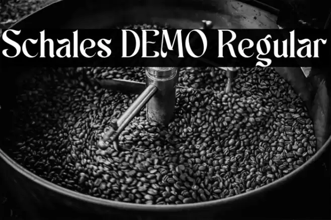 Schales DEMO Regular 字体 examples