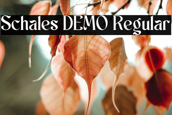 Schales DEMO Regular Example 3