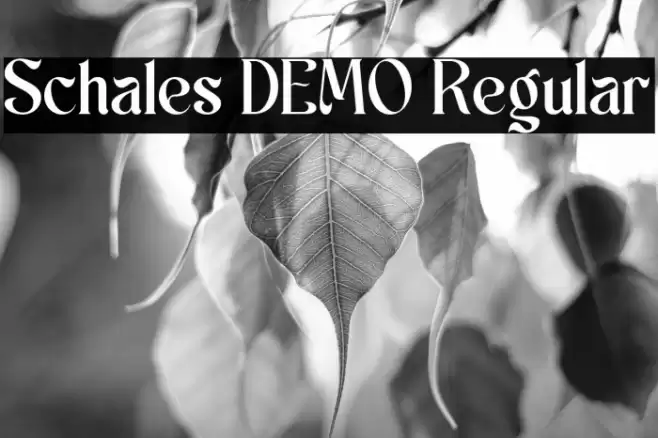 Schales DEMO Regular 字体 examples
