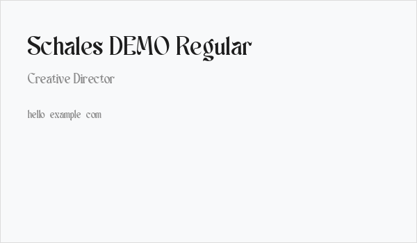 Schales DEMO Regular Business Card