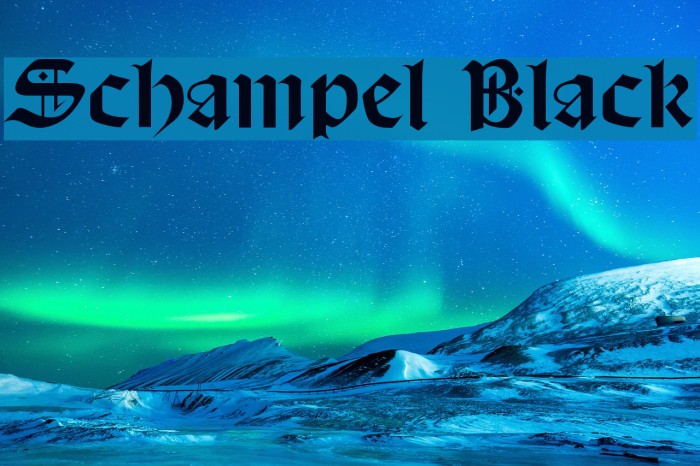 Schampel Black Example 1