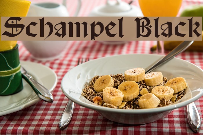 Schampel Black Example 2