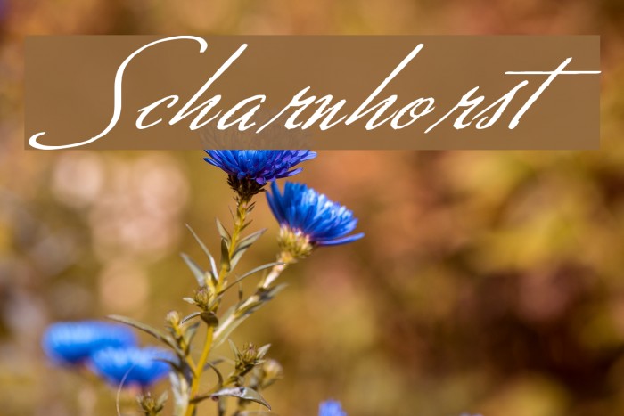 Scharnhorst Example 1