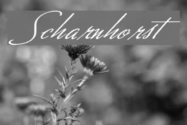 Scharnhorst Font examples