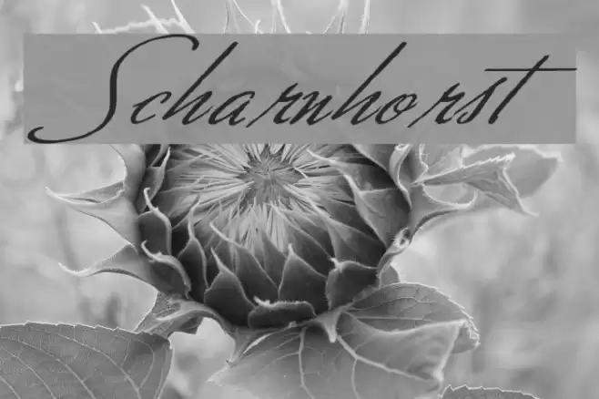 Scharnhorst Font examples