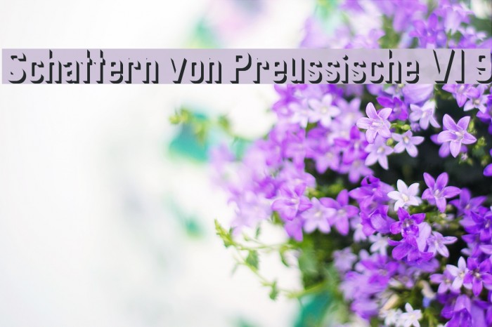 Schattern von Preussische VI 9 Font examples