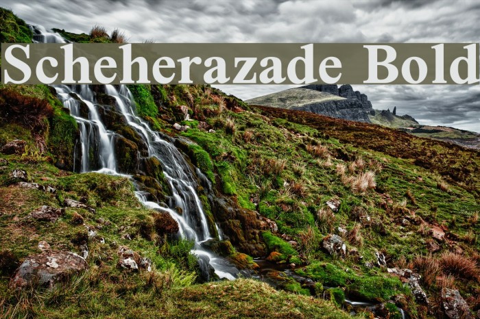 Scheherazade Bold Font examples