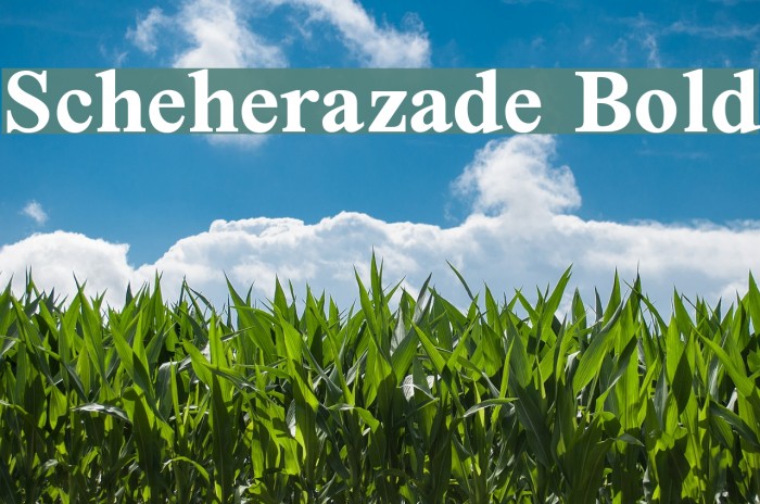 Scheherazade Bold Font examples