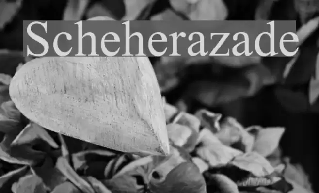 Scheherazade Font examples