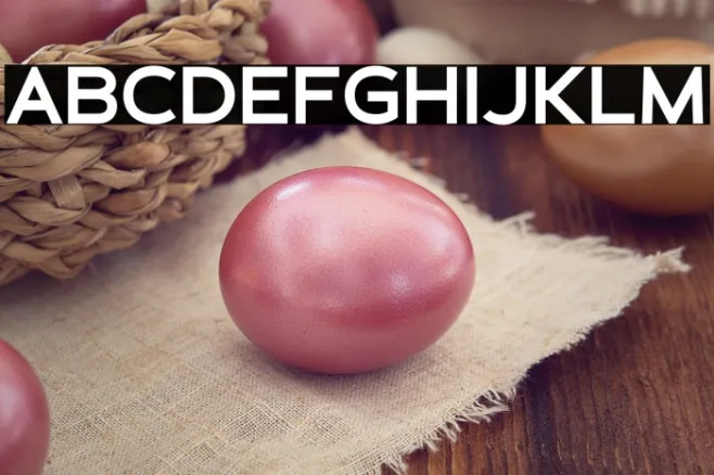 Schein Sans Example 2