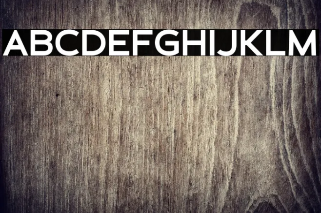 Schein Sans Example 3