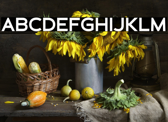 Schein Sans Example 2