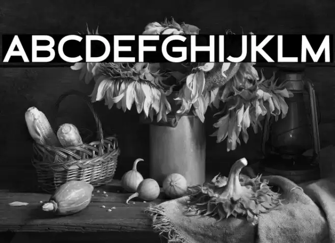 Schein Sans Font examples