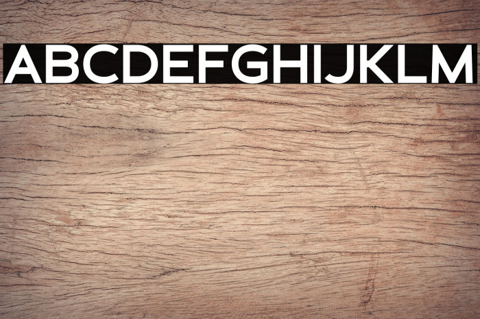 Schein Sans Example 3