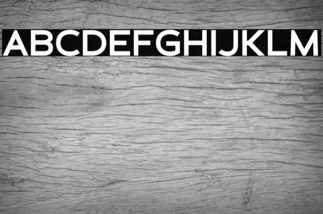 Schein Sans Font examples