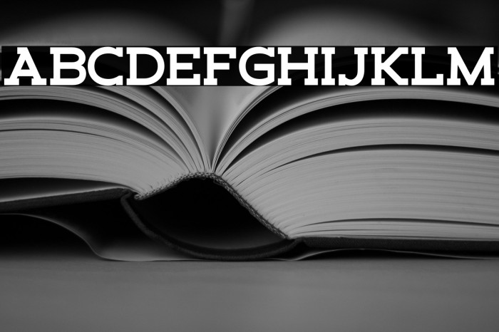 Schein Slab Example 1