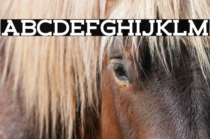 Schein Slab Example 2