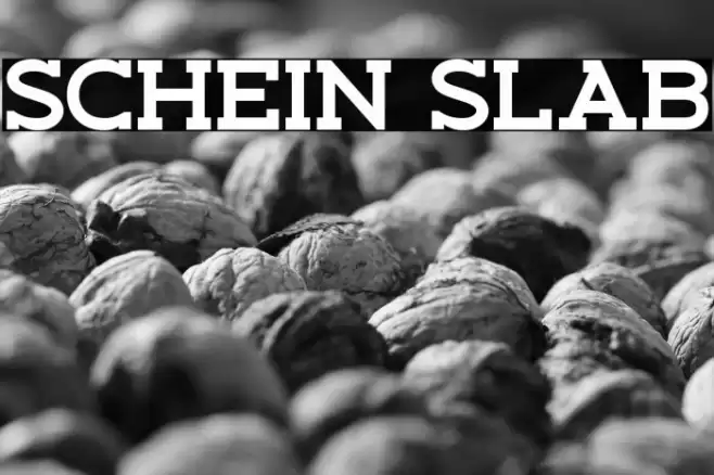 Schein Slab Font examples