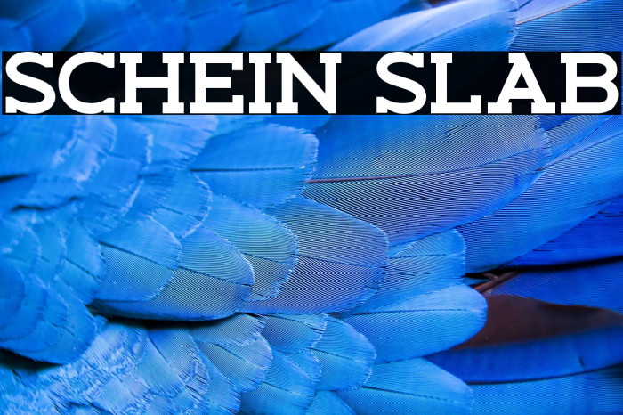 Schein Slab Example 2