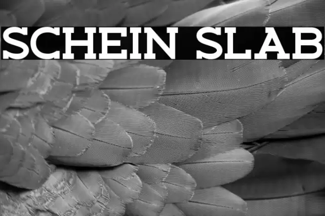 Schein Slab Font examples