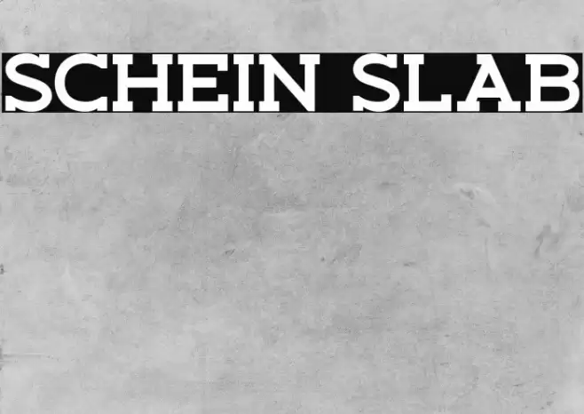 Schein Slab Font examples