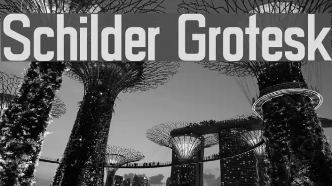 Schilder Grotesk Font examples