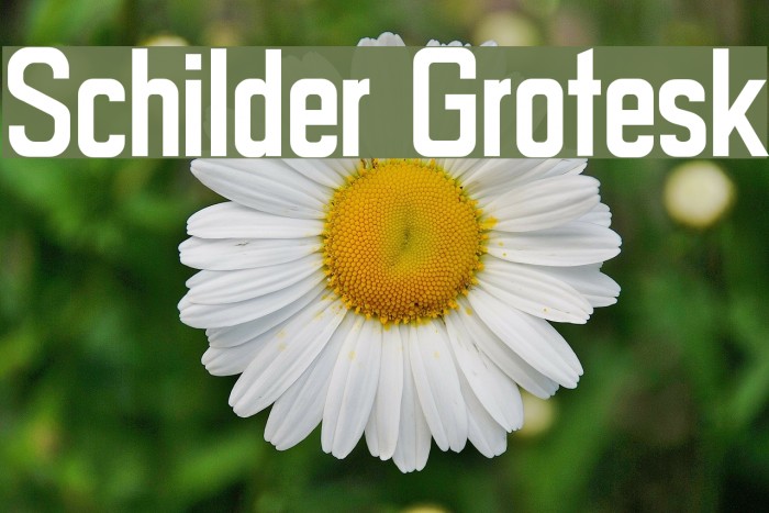 Schilder Grotesk Example 2