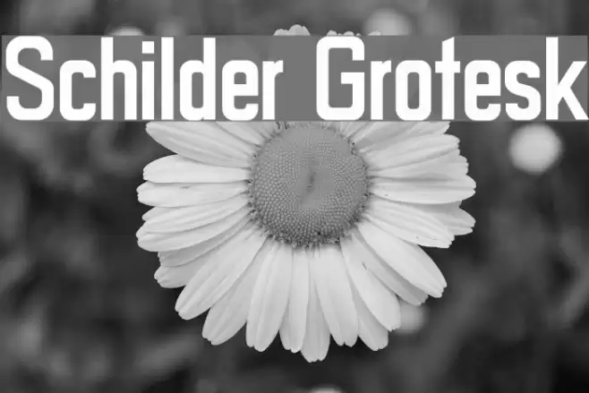 Schilder Grotesk Font examples