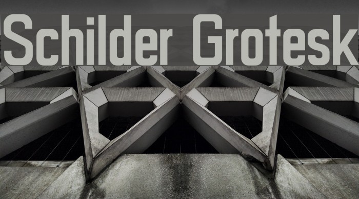 Schilder Grotesk Example 3