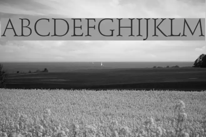 Schindler Light Font examples