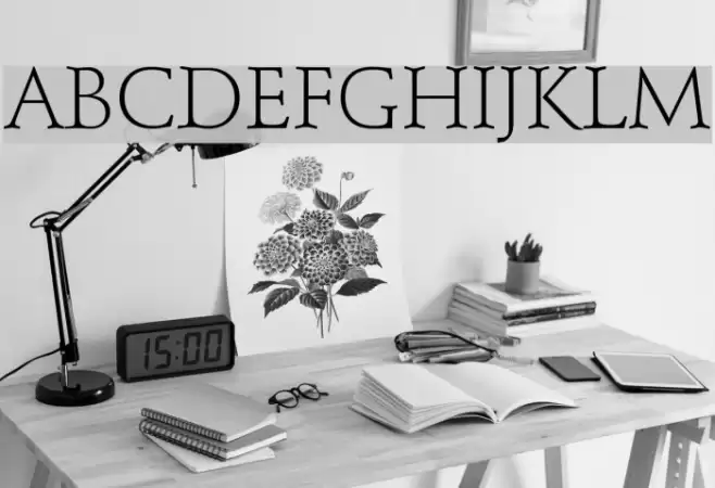 Schindler Light Font examples