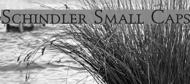Schindler Small Caps Font examples