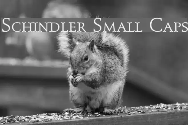 Schindler Small Caps Font examples