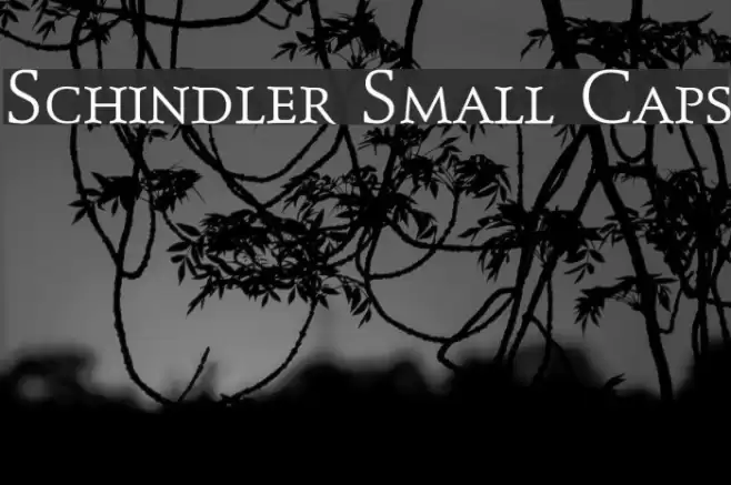 Schindler Small Caps Font examples