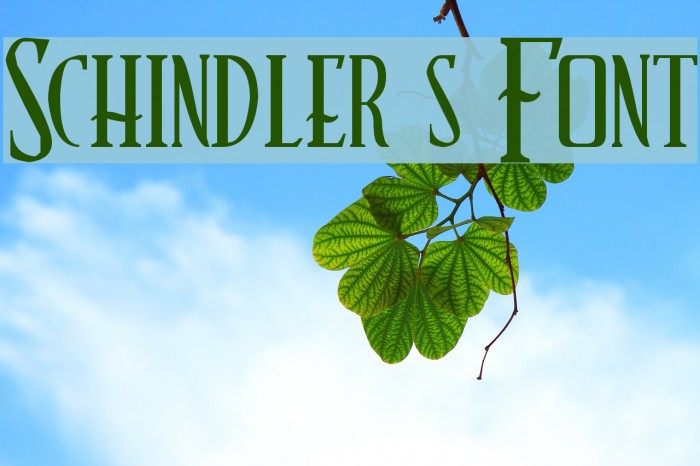 Schindler s Font Font examples