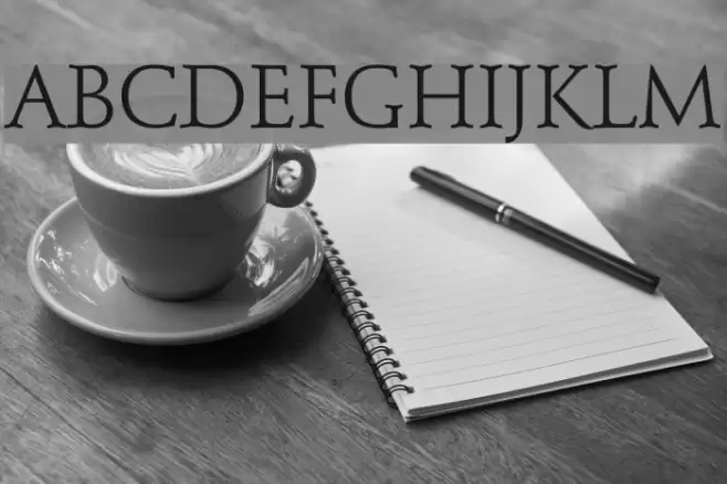 Schindler Font examples