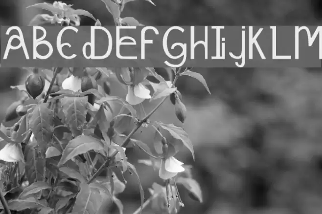 Schizcase Font examples