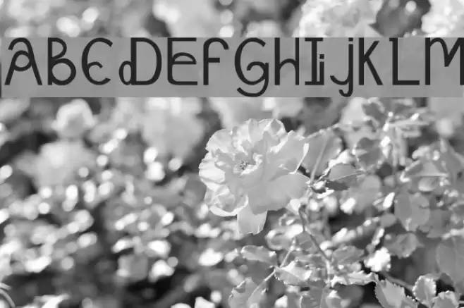 Schizcase Font examples