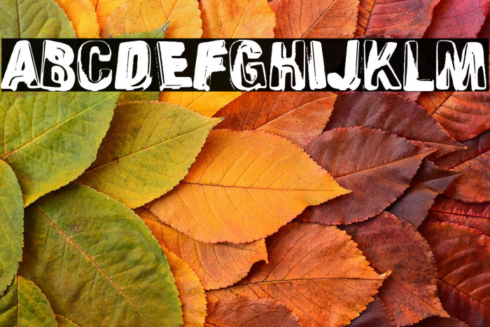 Schizoid Personality Example 1