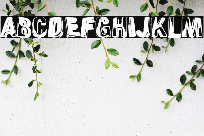 Schizoid Personality Example 3