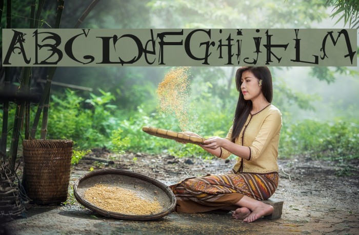 Schizophrenia 2 Example 2