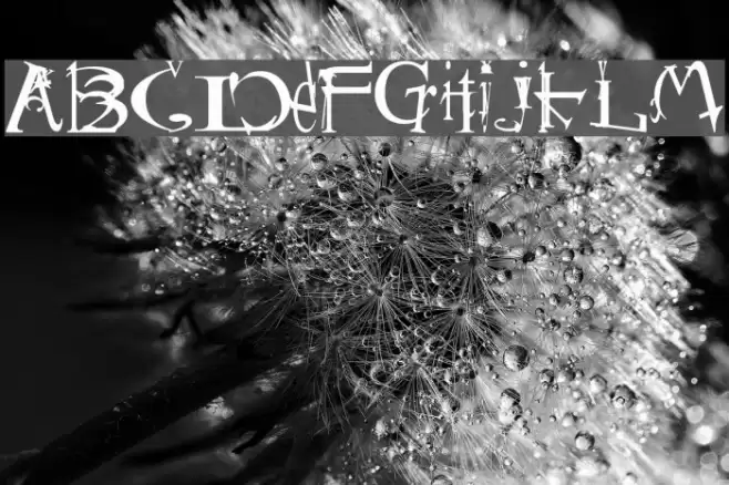 Schizophrenia 2 Font examples