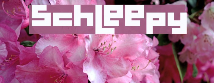 Schleepy Font examples