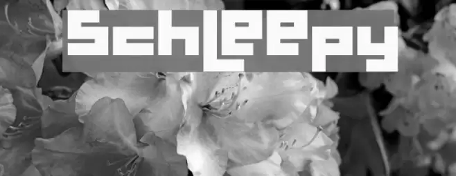 Schleepy Polices examples