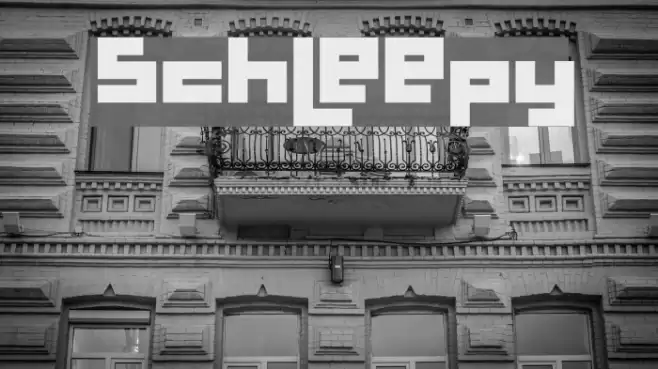 Schleepy Polices examples